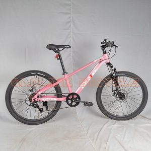 CRUZTREK KUDOS 24" GIRLS- BUILT FOR TEENS AND YOUNG ADVENTURERS